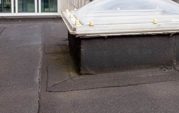 disadvantages of Hetton Downs flat roofs